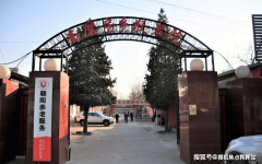 <b>养分征询、代购办事等按需收费</b>