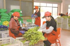 工商红盾网的系统资本取互联网相毗连
