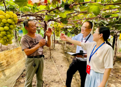 宁波市北仑区纪委监委立脚监视职责
